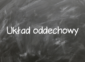 Układ oddechowy Układ oddechowy