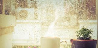 Jak spędzać czas w deszczowe dni? Jak spędzać czas w deszczowe dni?